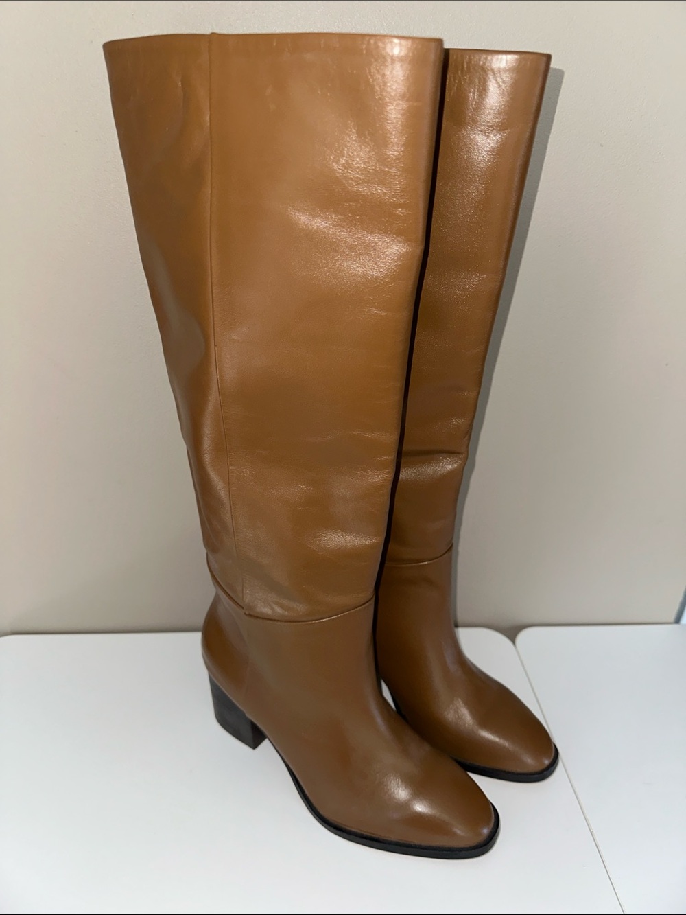 Banana Republic Leather Tall Shaft Boots